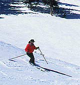 skiing_photo