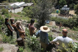 MERRITT COLLEGE HORTICULTURE