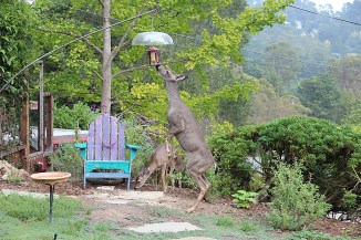 2014-09-28_15-33-49_9634_EOS