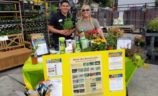 MOP-L-PRIOR-COL-1116-1